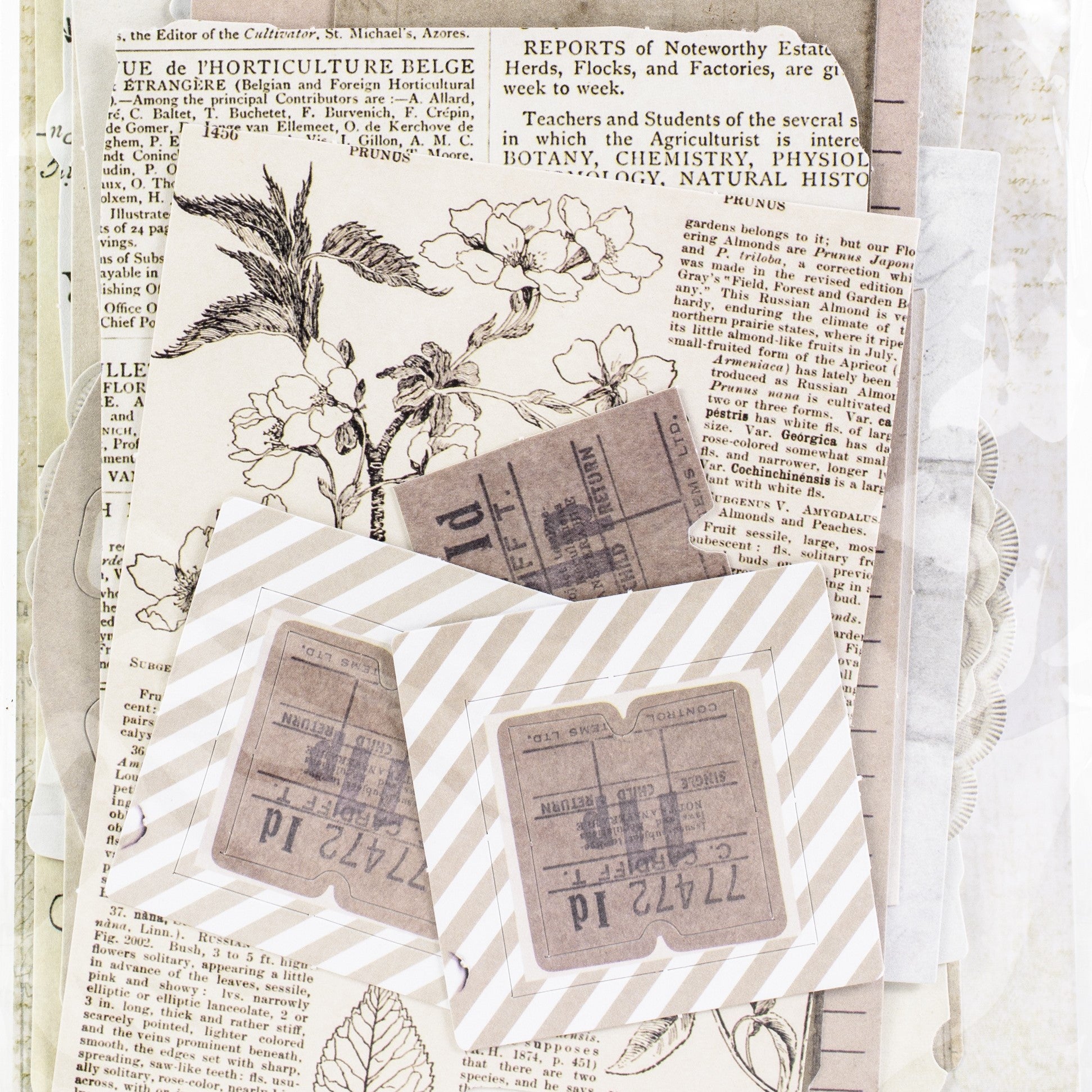 Beige Handmade Paper Journal With Distressed Edges, Blank Journal, Art  Journal, Mixed Media Journal, Scrapbooking Journal, Vintage Style 